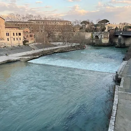 Apartament Domus Remi *