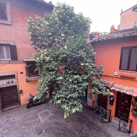 Domus Remi Apartament *